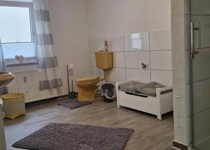 - Stern - * Rollshausen